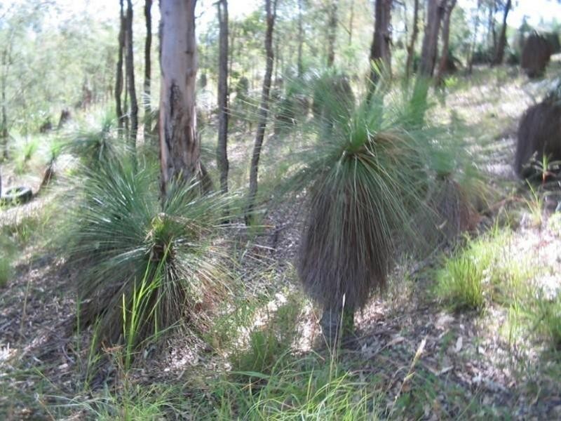 141-143 Haygarth Drive, Kooralbyn QLD 4285