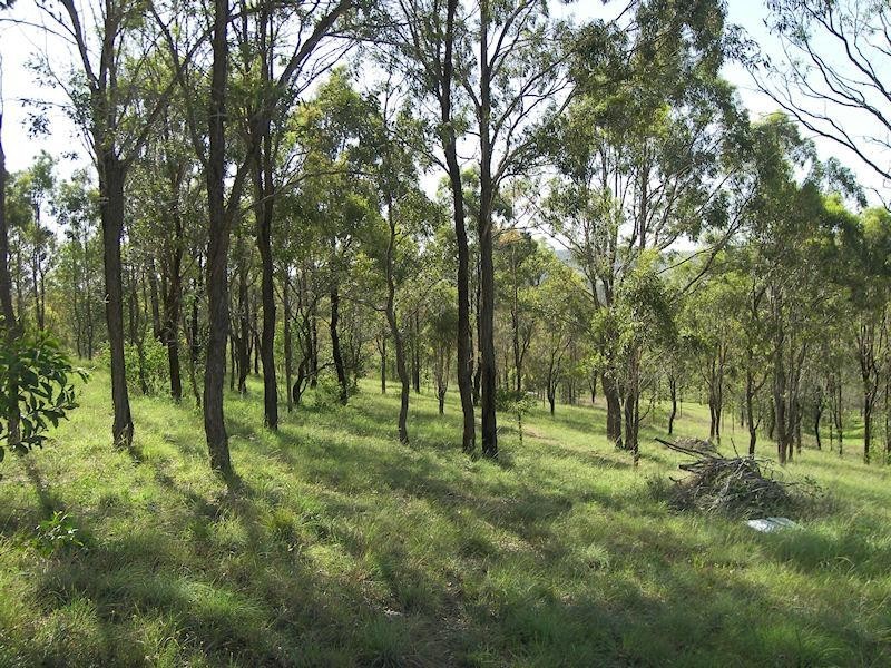 10 Wyndham Place, Kooralbyn QLD 4285