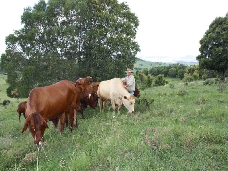 557 Mt French Road, Boonah QLD 4310