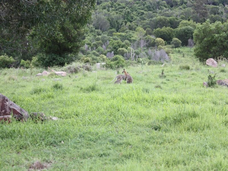 557 Mt French Road, Boonah QLD 4310