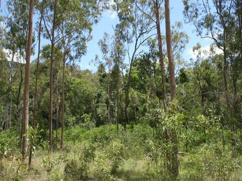 0 Eureka Road, Golden Fleece QLD 4621