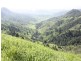 Lot 4 Koplick Road, Running Creek QLD 4287