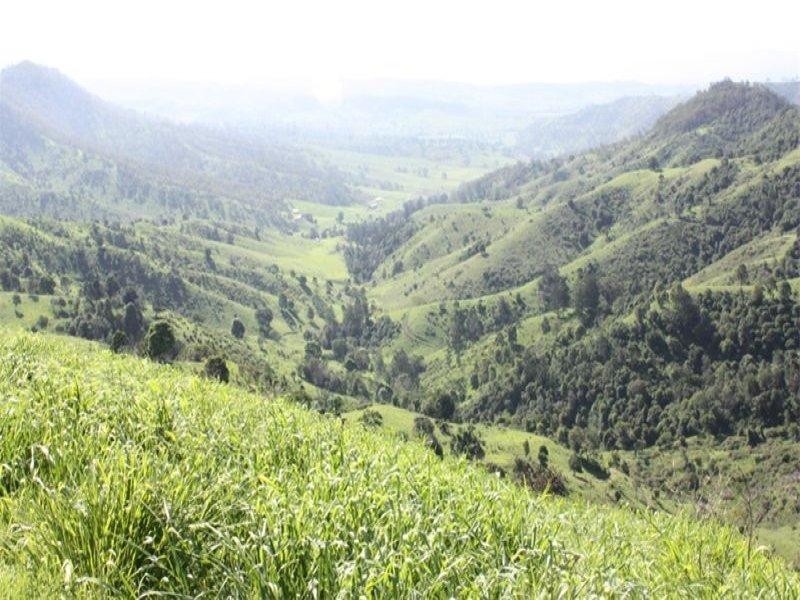 Lot 4 Koplick Road, Running Creek QLD 4287