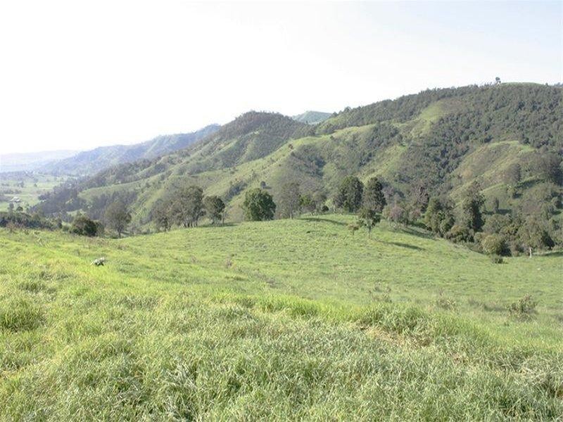 Lot 4 Koplick Road, Running Creek QLD 4287