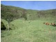 Lot 4 Koplick Road, Running Creek QLD 4287