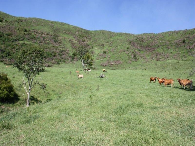 Lot 4 Koplick Road, Running Creek QLD 4287