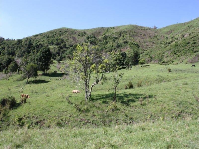 Lot 4 Koplick Road, Running Creek QLD 4287