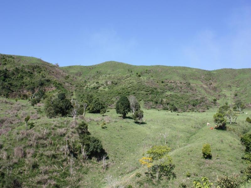 Lot 4 Koplick Road, Running Creek QLD 4287