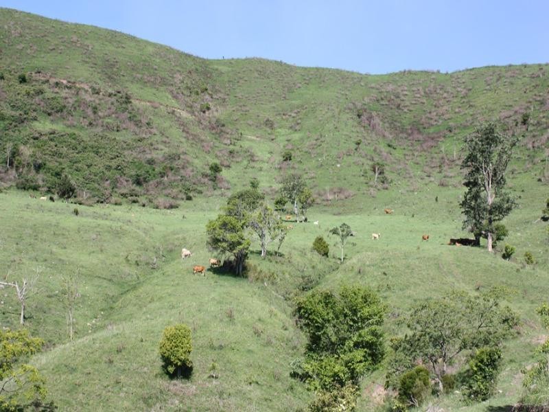 Lot 4 Koplick Road, Running Creek QLD 4287
