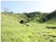 Lot 4 Koplick Road, Running Creek QLD 4287