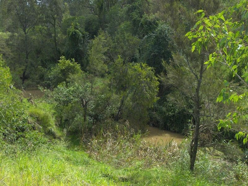 3100 Beaudesert Beenleigh Road, Birnam QLD 4285