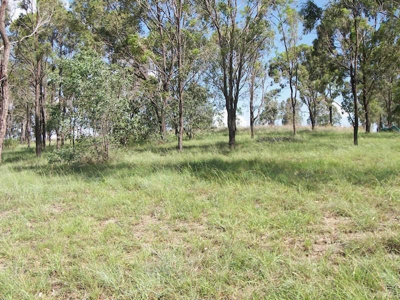 10 Wyndham Place, Kooralbyn QLD 4285