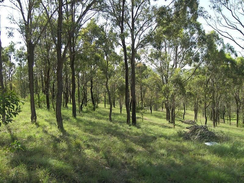 10 Wyndham Place, Kooralbyn QLD 4285