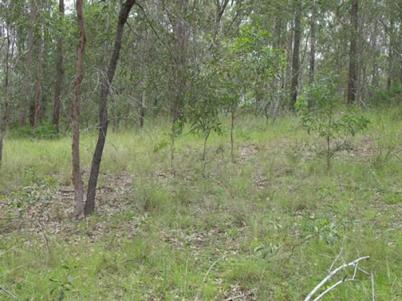 201 Mona Drive, Jimboomba QLD 4280