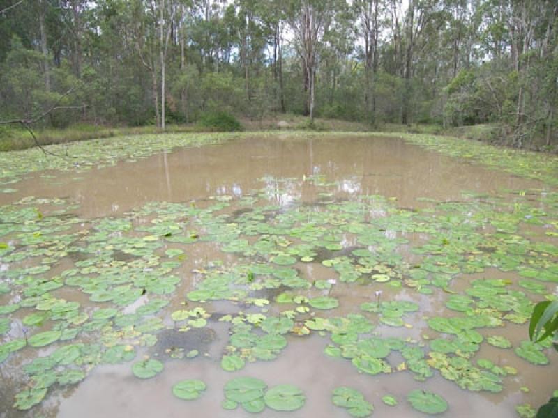 201 Mona Drive, Jimboomba QLD 4280