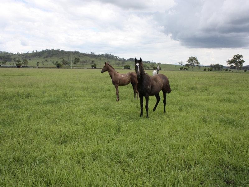 91 River Road, Beaudesert QLD 4285