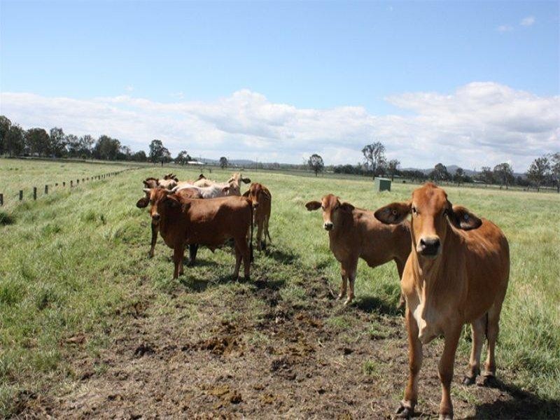 91 River Road, Beaudesert QLD 4285