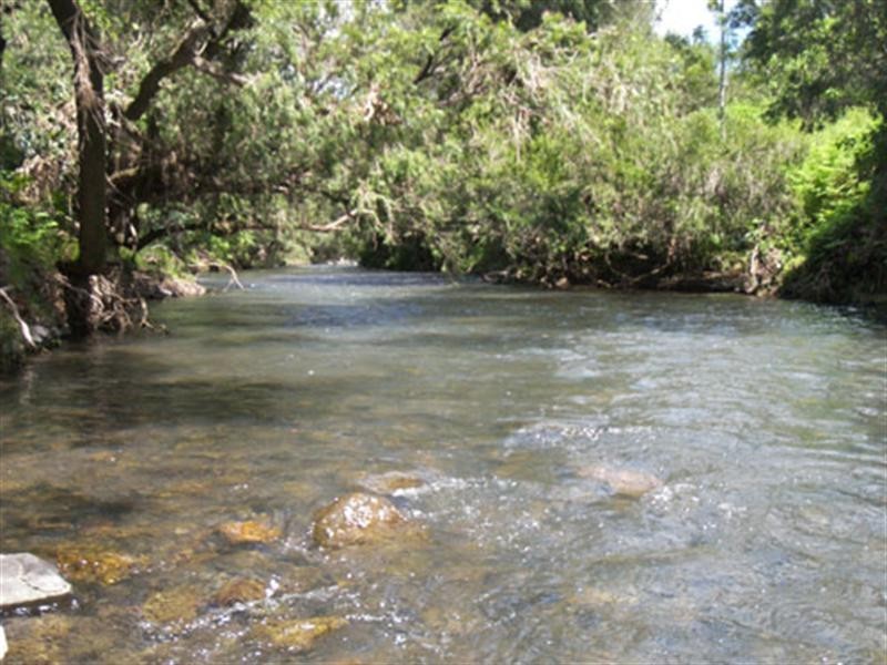 Darlington QLD 4285