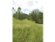 Darlington QLD 4285