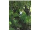0 Mount Lindesay Highway, Laravale QLD 4285