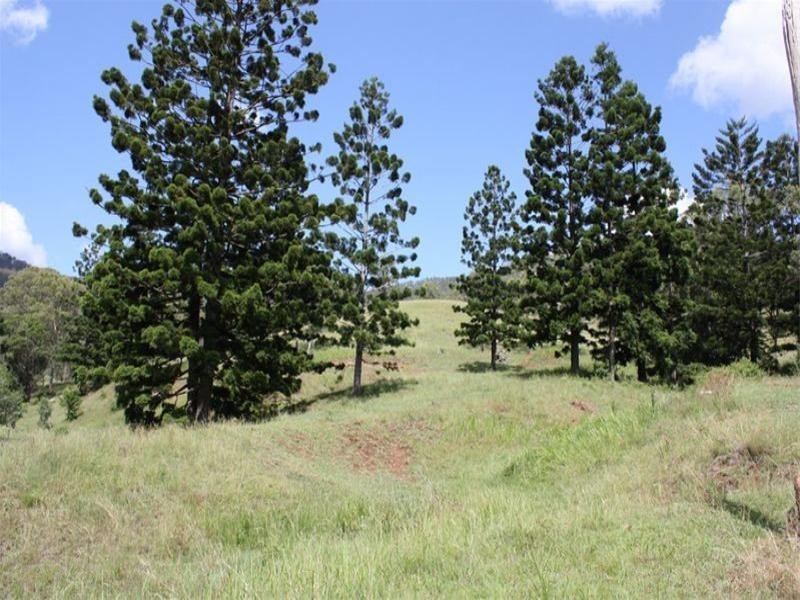 1214 Duck Creek Road, Kerry QLD 4285