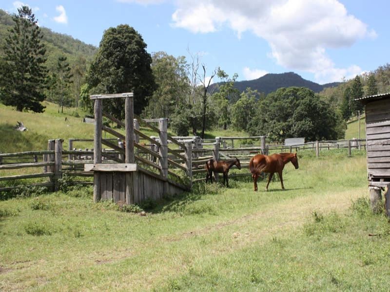 1214 Duck Creek Road, Kerry QLD 4285