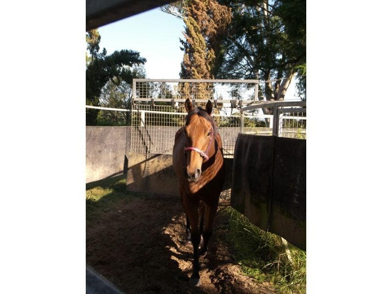 189 Lupton Road, Beaudesert QLD 4285