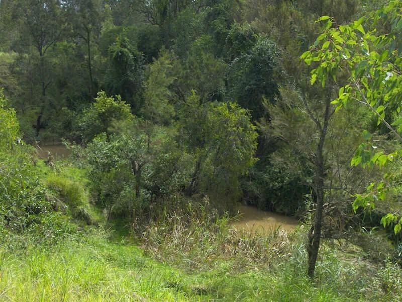 3100 Beaudesert Beenleigh Road, Birnam QLD 4285