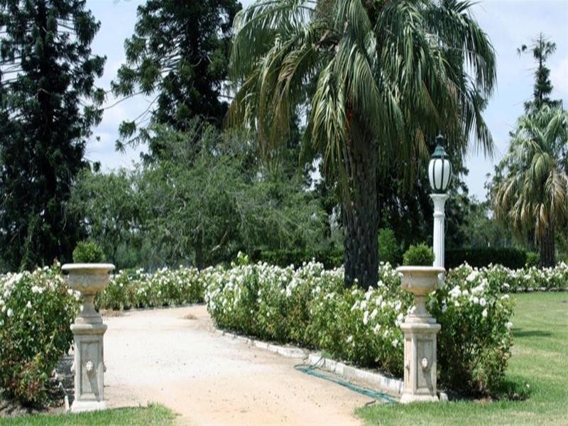 0 Dalrymple Creek Road, Allora QLD 4362