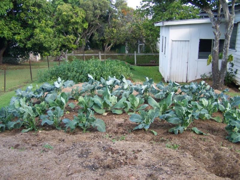 13 Mitchell Street, Beaudesert QLD 4285