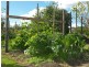 1 Aspen Way, Gleneagle QLD 4285