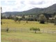 Canungra QLD 4275