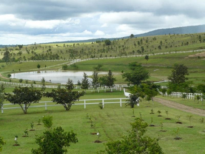 3139 Beaudesert- Nerang Road, Biddaddaba QLD 4275