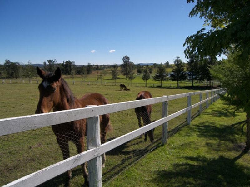3139 Beaudesert- Nerang Road, Biddaddaba QLD 4275