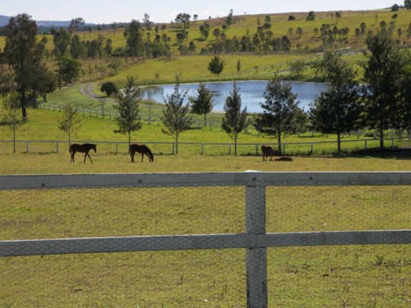 3139 Beaudesert- Nerang Road, Biddaddaba QLD 4275