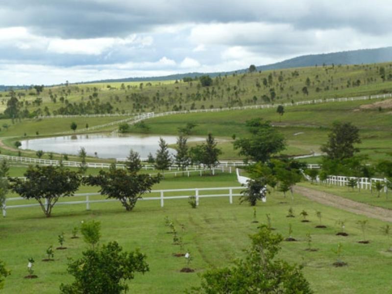 3139 Beaudesert – Nerang Road, Biddaddaba QLD 4275