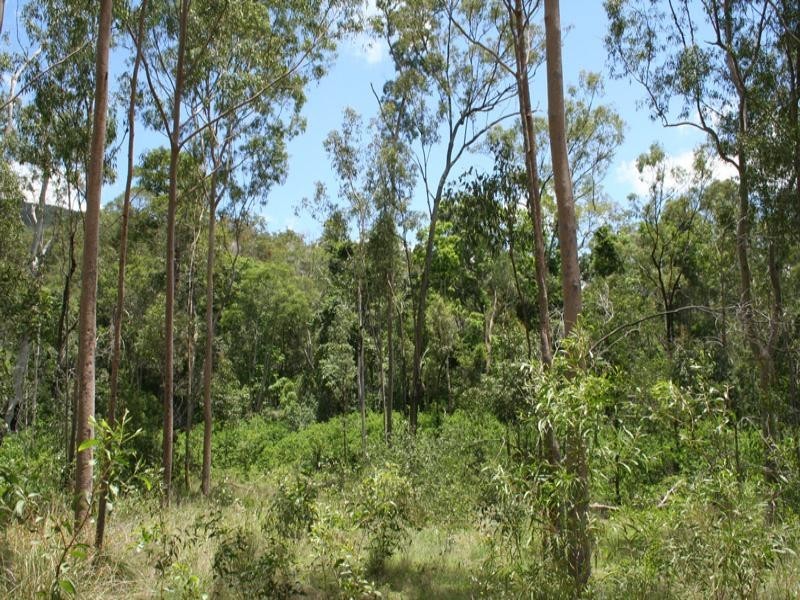 0 Eureka Road, Golden Fleece QLD 4621