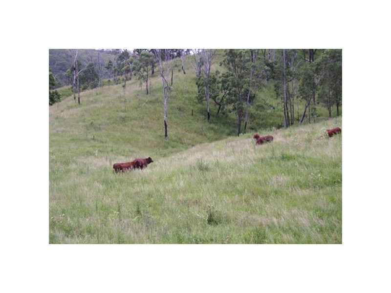 1214 Duck Creek Road, Beaudesert QLD 4285