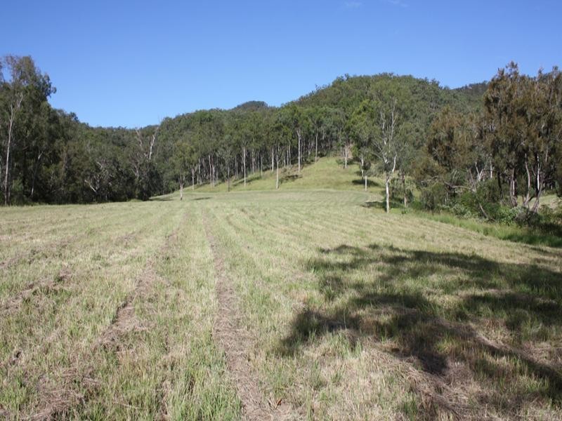Canungra QLD 4275