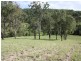 Canungra QLD 4275