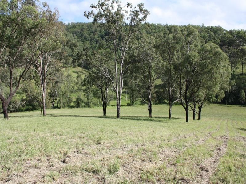 Canungra QLD 4275