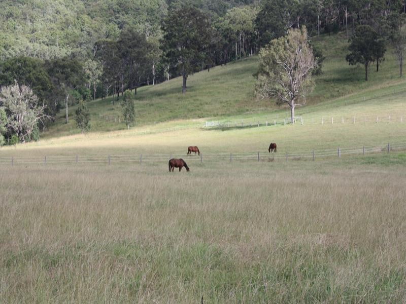 Canungra QLD 4275