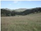 Canungra QLD 4275