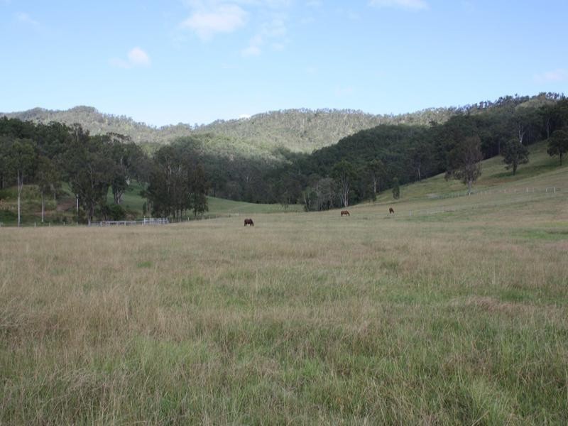 Canungra QLD 4275