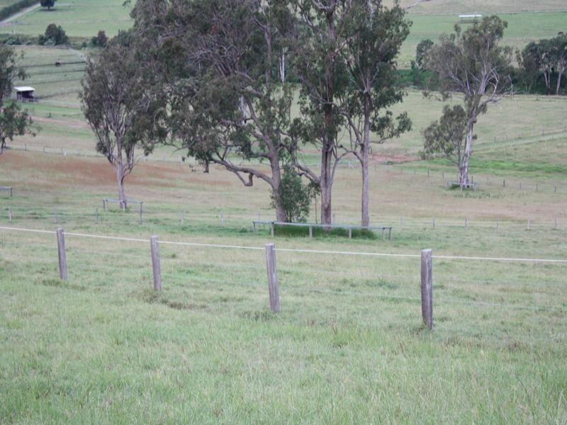 Canungra QLD 4275