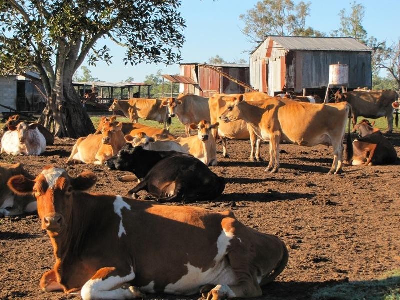 1974 Bauple Woolooga Road, Glen Echo QLD 4570