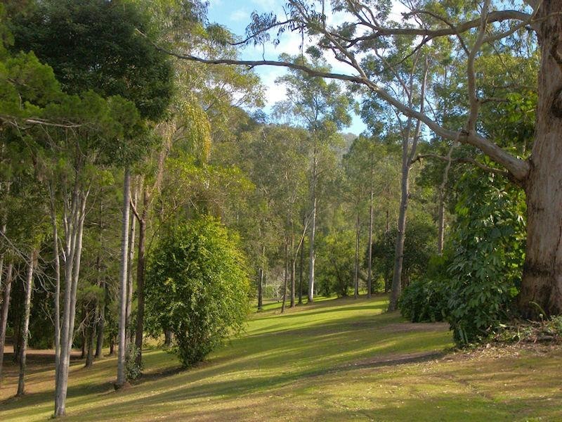 Lot 5/2241 Beaudesert Nerang Road, Canungra QLD 4275