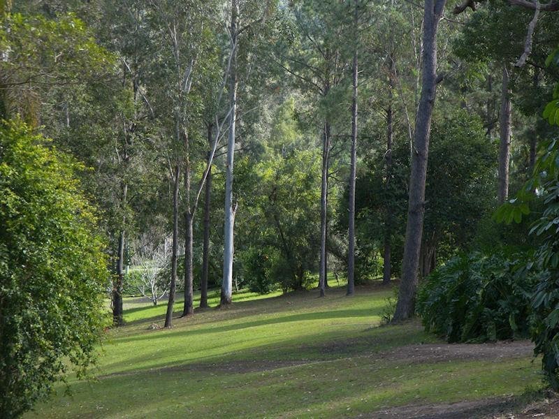 Lot 5/2241 Beaudesert Nerang Road, Canungra QLD 4275