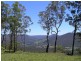 Tamborine Mountain QLD 4272