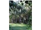 Tamborine Mountain QLD 4272